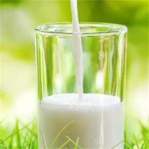 香港安满孕妇奶粉