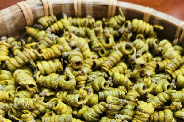 海兴嘉禾铁皮石斛加盟