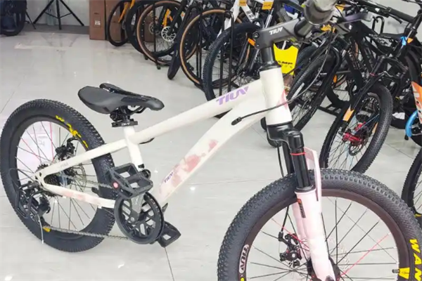 奥仕龙童车加盟