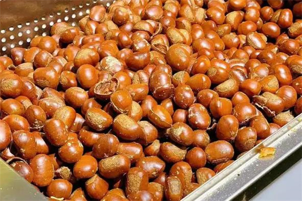 堅果休閑食品加盟