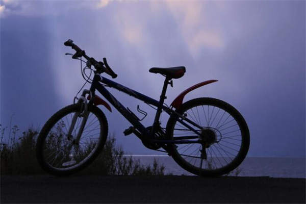 優步自行車加盟