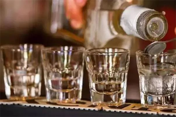 尊皇酿酒设备加盟