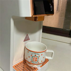 迅扬即热式饮水机