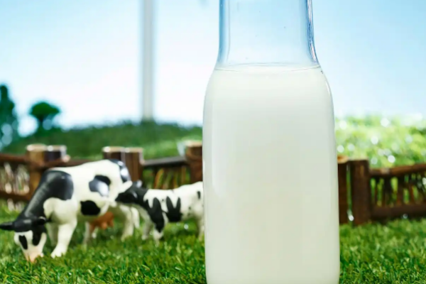 乳果鮮奶坊加盟