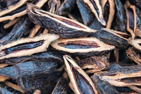 檳榔連鎖店加盟